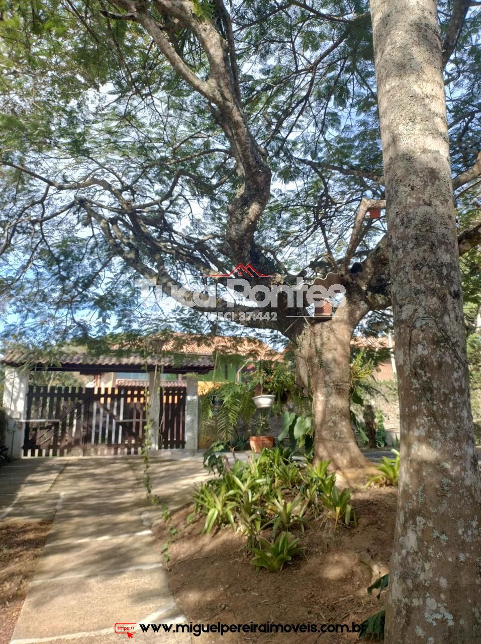  Casa em bairro nobre - Amplo terreno com pomar | Código:C66