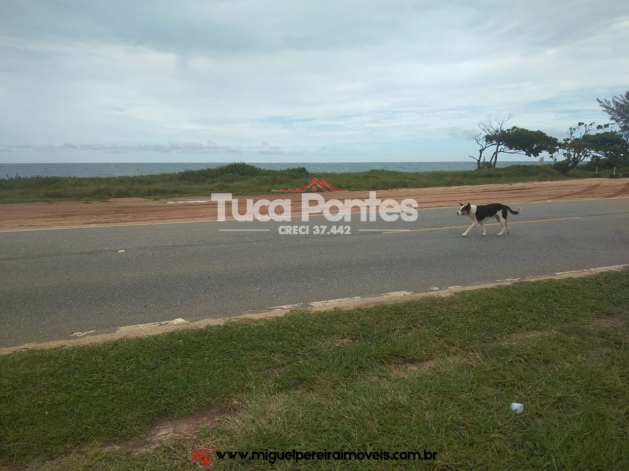 Opotunidade única! - 2 Terrenos de frente para o mar | Código:T16