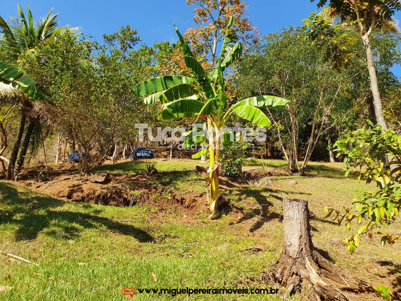 Mini chácara - Com 3 casas e linda vista | Código:C37