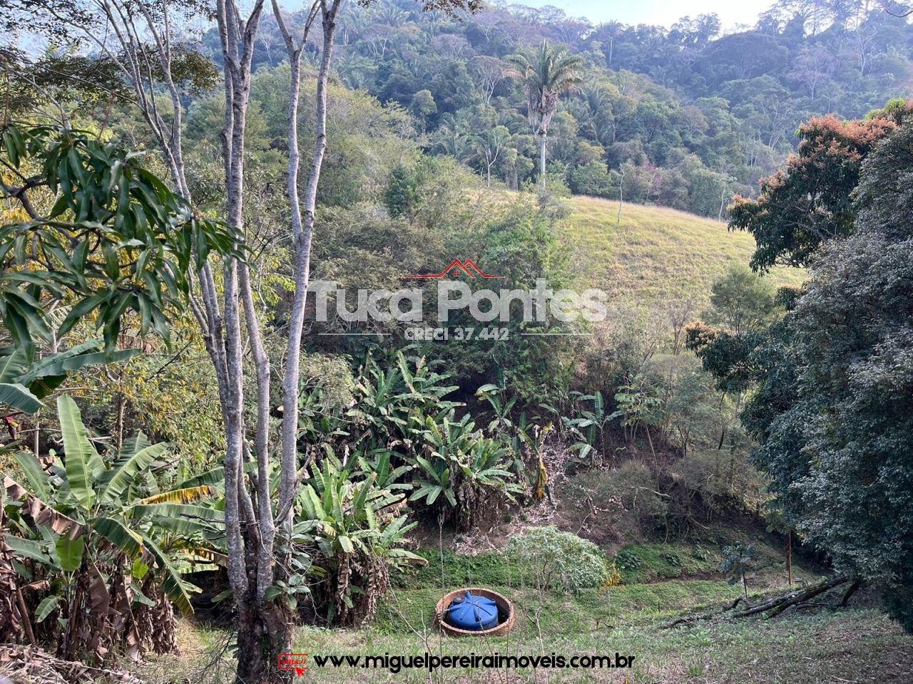 Luxuosa Propriedade Rural  - 2.8 hectares de elegância | Código:S30