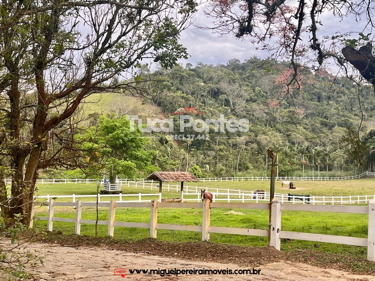 Haras impecável  - Paraíso Equestre no Vale do Café! | Código:F4