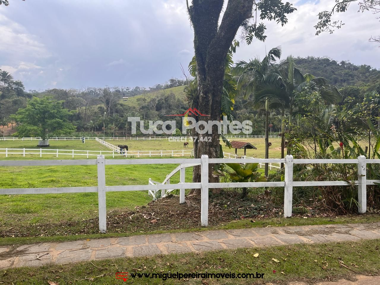 Haras impecável  - Paraíso Equestre no Vale do Café! | Código:F4