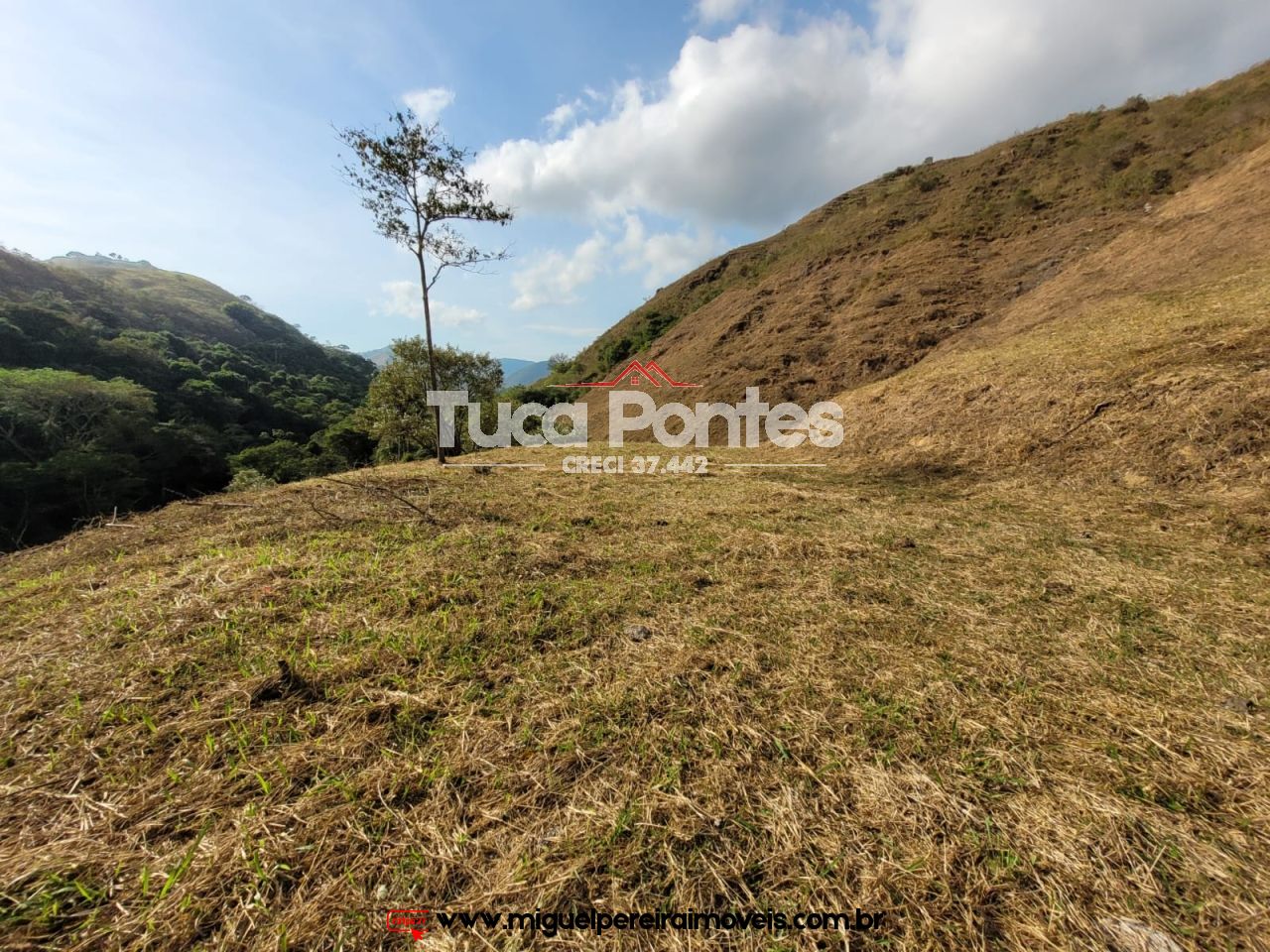 Lote imperdível - 94.000 m² de ar puro | Código:T28