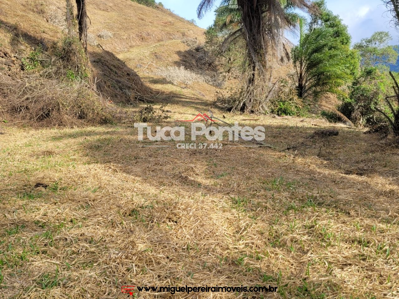 Lote imperdível - 94.000 m² de ar puro | Código:T28