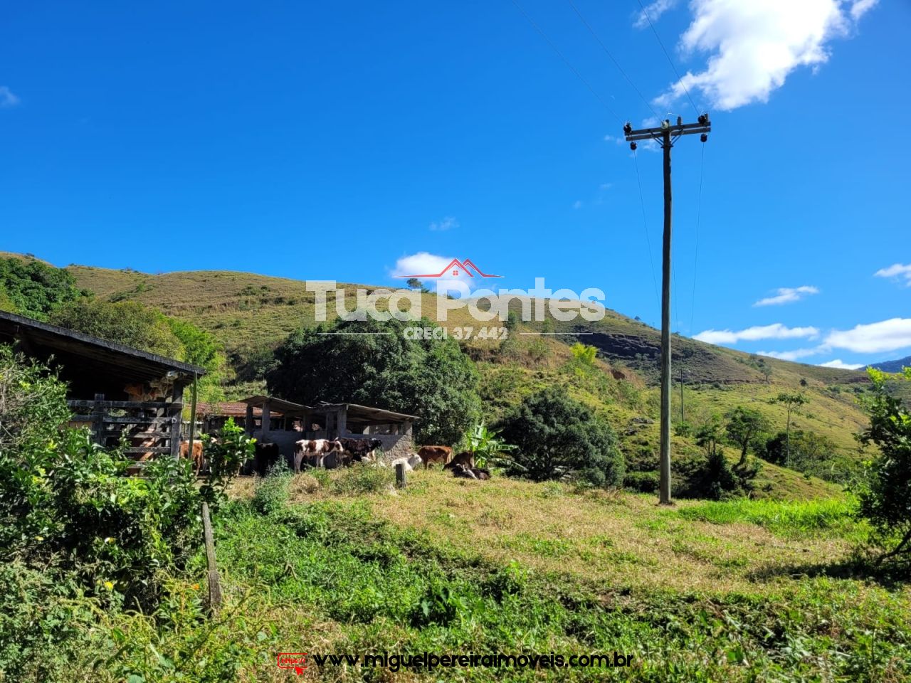 Sítio de 17 Alqueires Mineiros! - Qualidade de vida e contato direto com a natureza | Código:S13